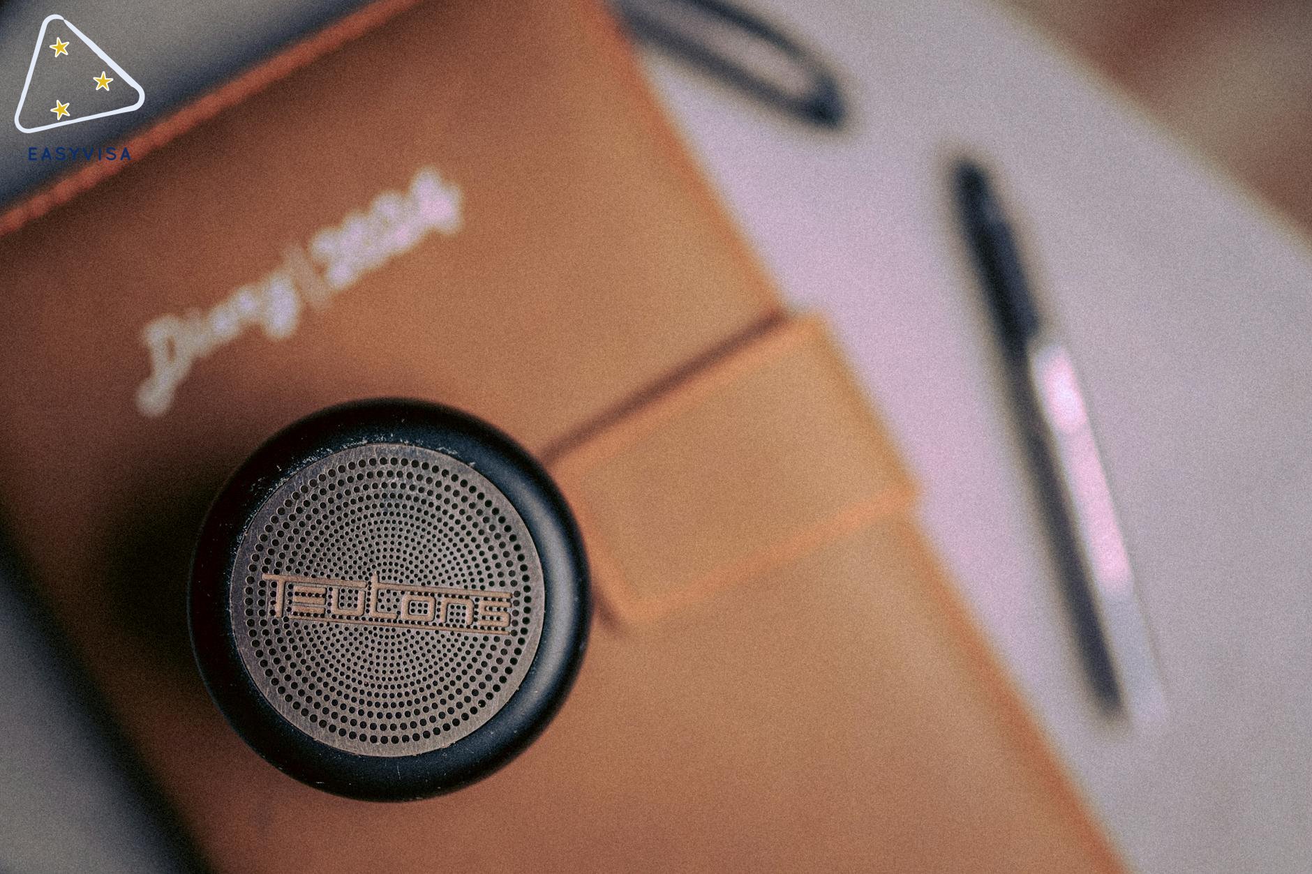 庆祝多样性：2024-2025公共服务委员会报告