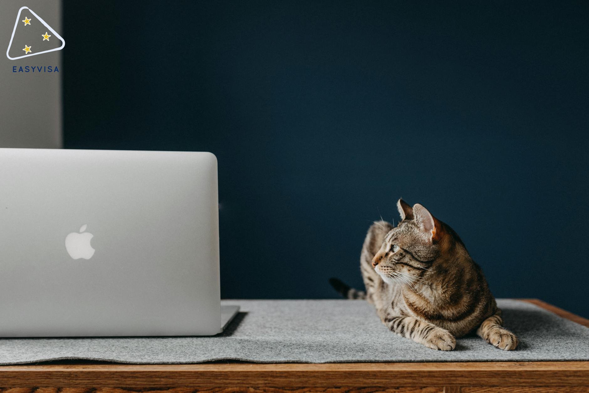 Cất cánh: Chiến lược hàng không mới của Saskatchewan