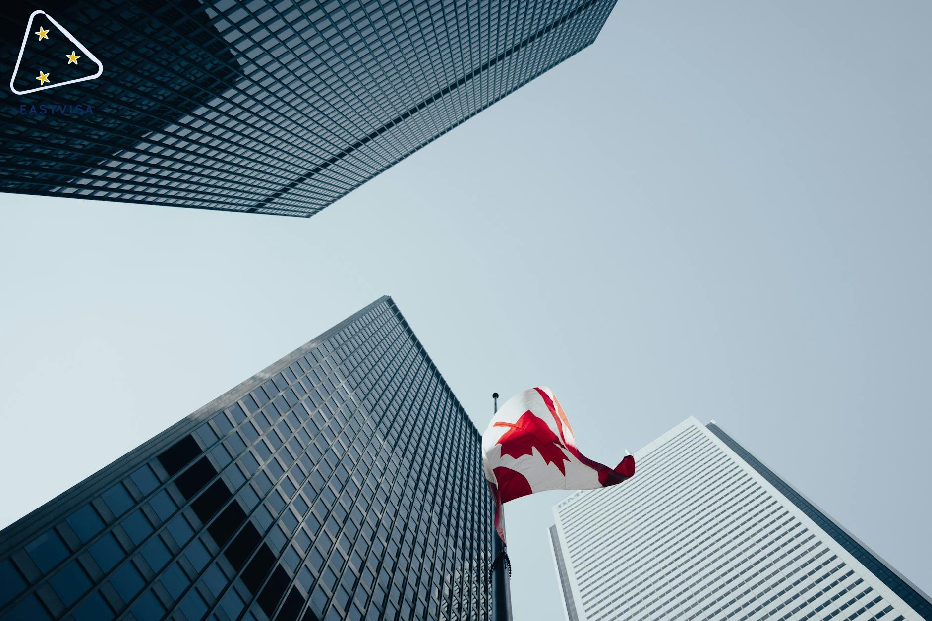 Exploring Canada's 2025 Immigration Trends