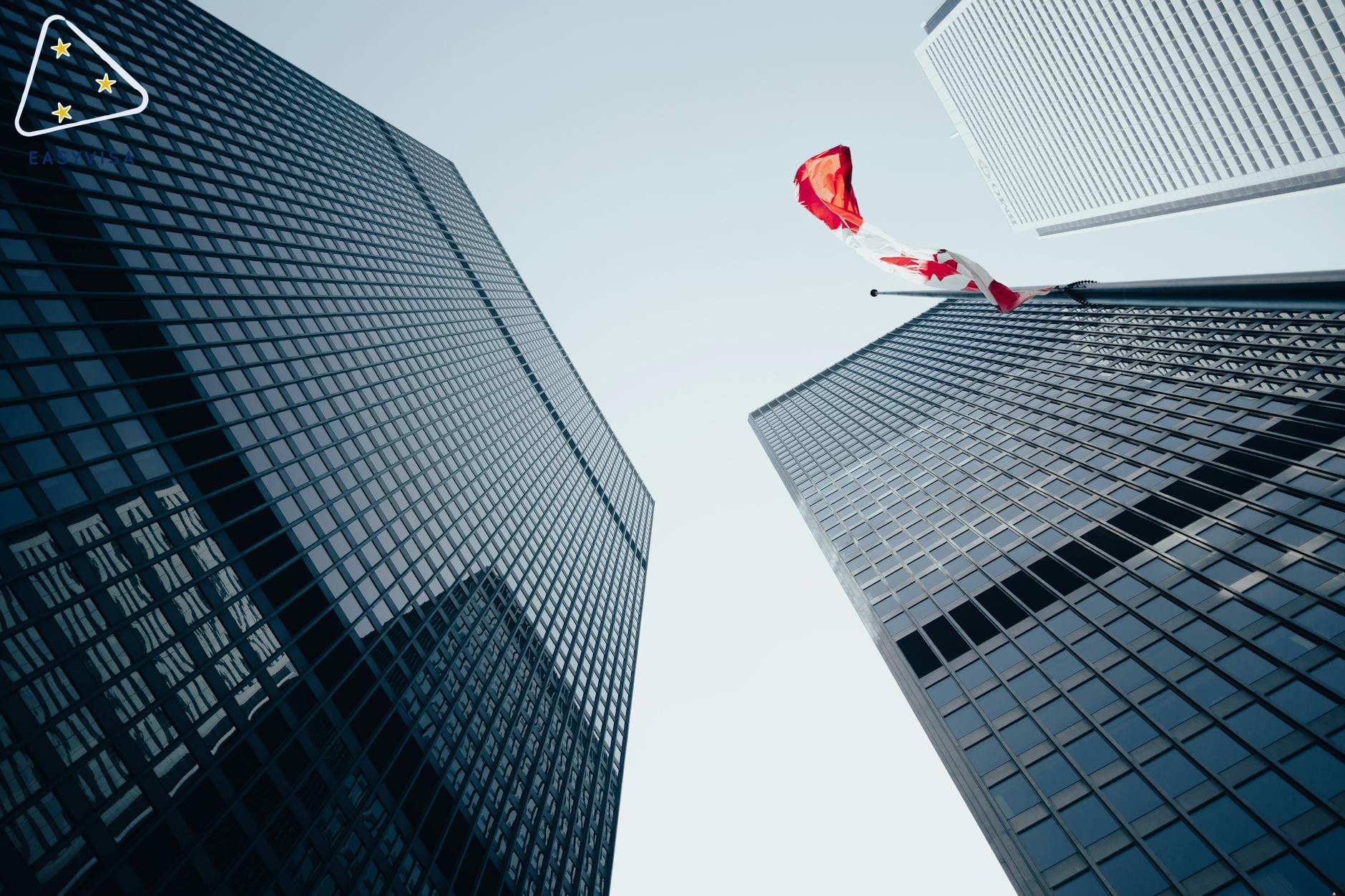 快速通道更新：加拿大经验类专业人士的新视野