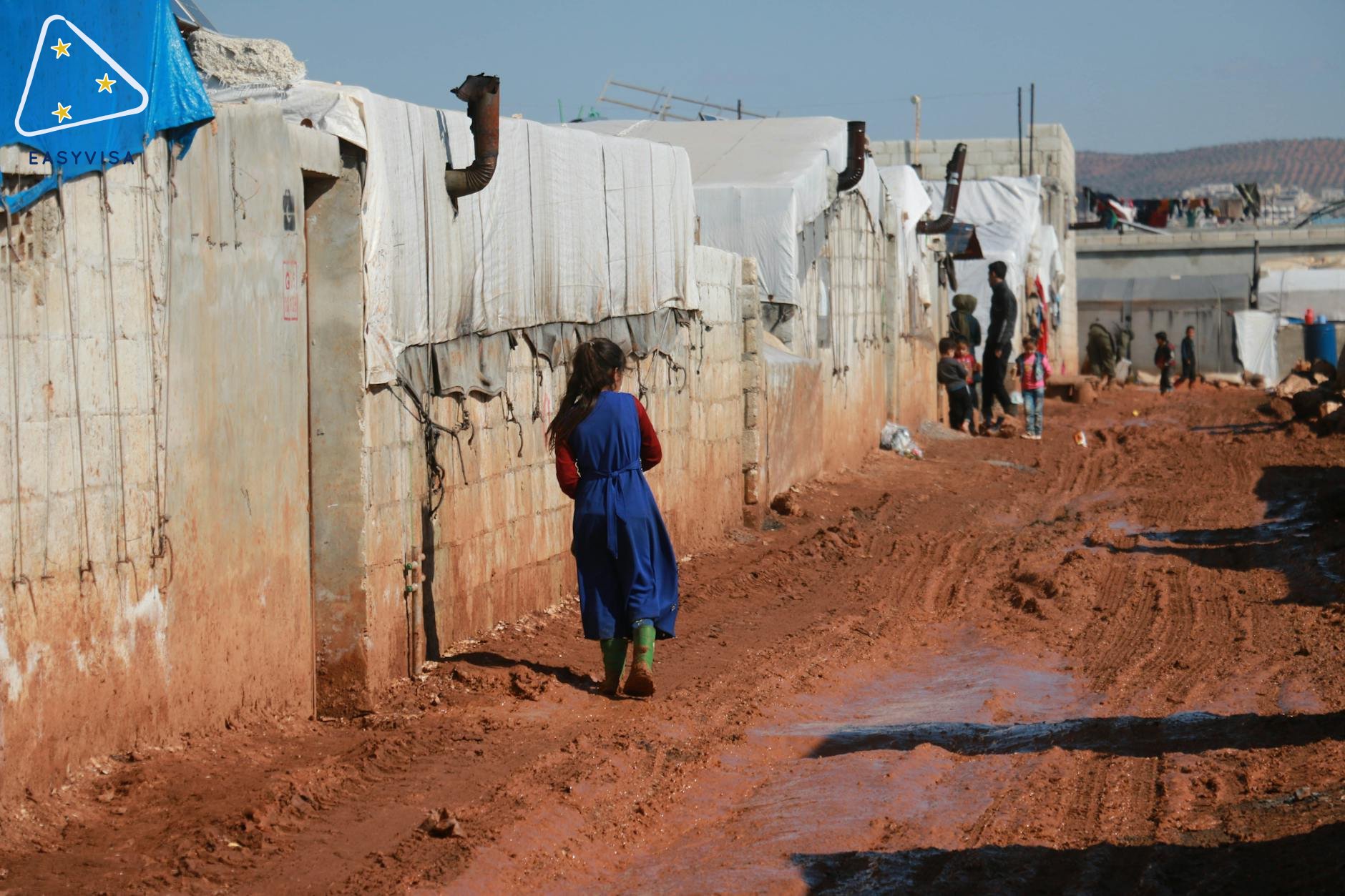 Provincial Nominee Programs: Latest Updates and Insights for