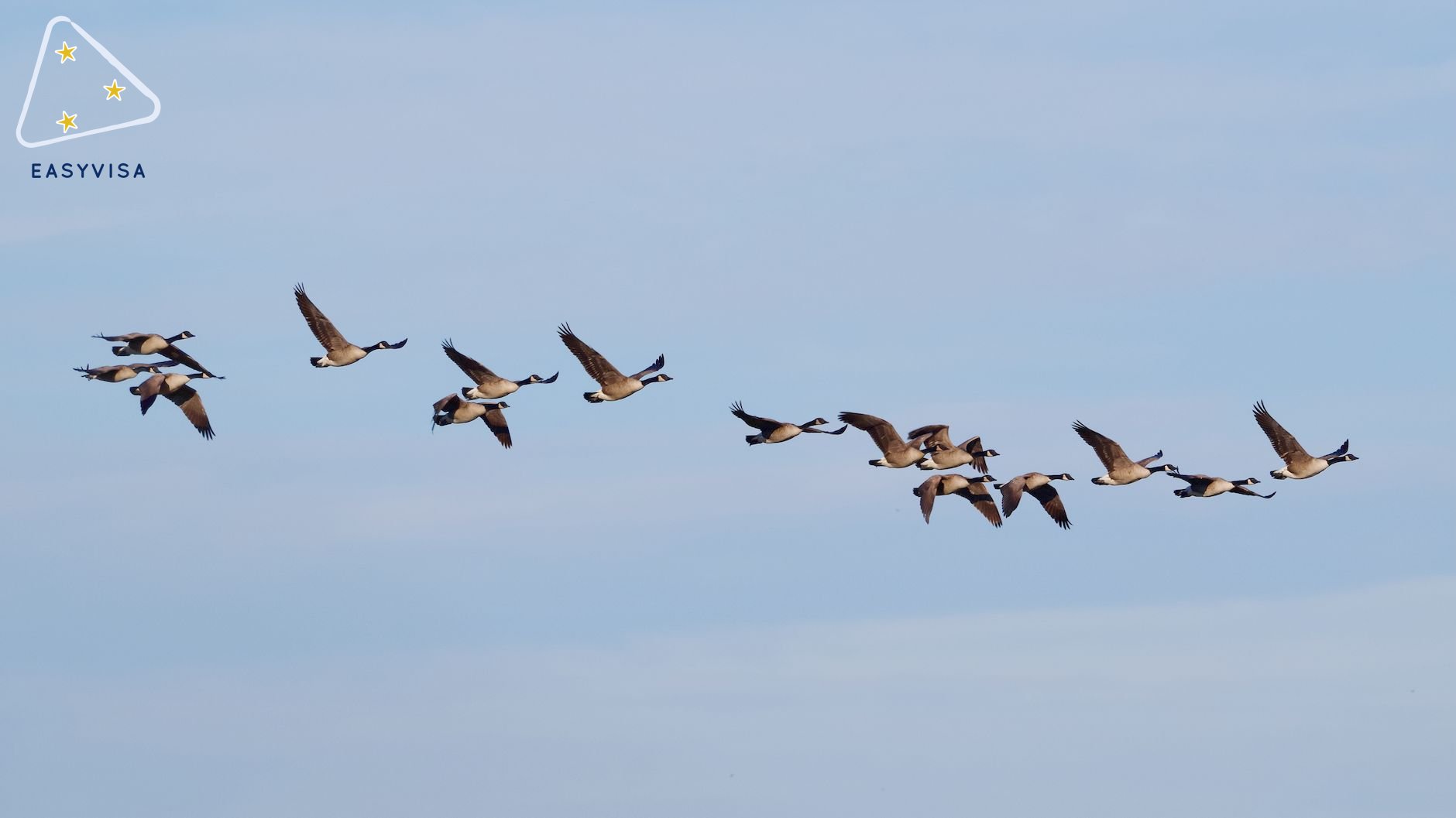 Understanding Manitoba's Immigration Expression of Interest